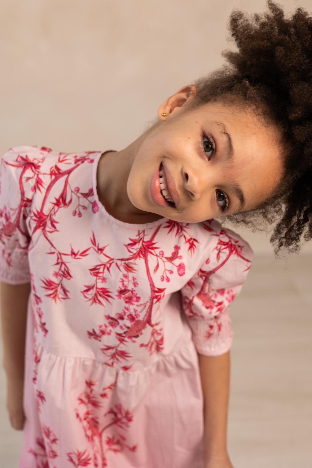Misha Dress